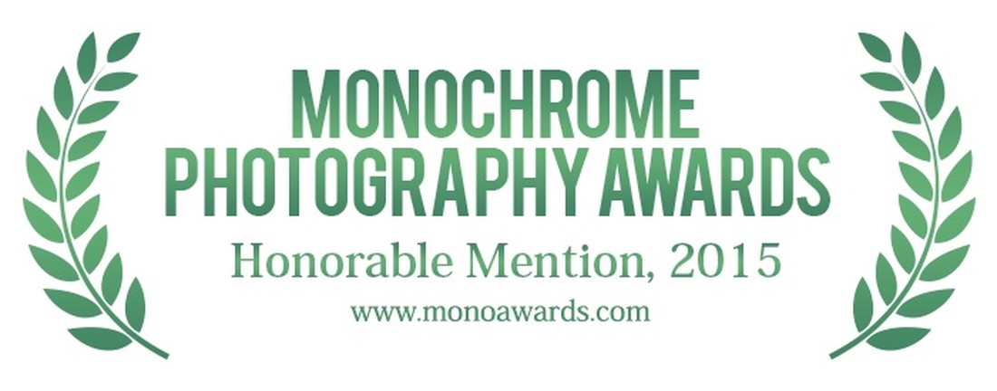 monoawards_2015_hm